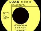 THE HEADLINES He's Looking For A Love 45 Luau Rare 1967 Ohio Northern Soul M-