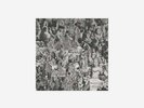 Rose First Single Vinyl LP R Limited Edition