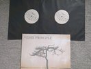 VENUS PRINCIPLE: Stand In Your Light - Doppel-LP 2022, Prophecy, mit Textblatt