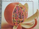 Ryo Kawasaki - Juice Vinyl Japanese Jazz