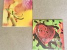 NEW  THE BREEDERS Pod & Last Splash 2 x 12