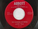 Mitchell Torok Haunting Waterfall Country Rockabilly 45 ABBOTT Records 1954 RARE