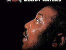 Muddy Waters - The Best Of Muddy Waters (LP, Comp, Ltd, RE, 180) (Mint (M)) - 31
