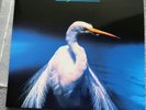 Angel Dust by Faith No More (Record, 2013)
