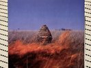 The Maccabees - Given To The Wild 12