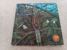 DRAGONFLY 1968 MEGAPHONE Psychedelic Rock Vinyl Vintage LP