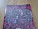 A Day To Remember Homesick LP D2C Exclusive #1 Clear Green Purple Blue Splatter