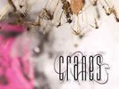 Cranes | Black Vinyl LP | Fuse  | Dadaphonic