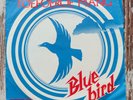Blue Bird 