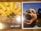 Have Heart Vinyl 2024 Bundle - 300 Pressed Things We Carry Songs Scream Sun HC