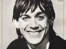 Iggy Pop Lust For Life Vinyl Record VG+/VG+