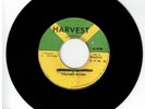 #44 ROOTS REGGAE MIKE BROOKS 