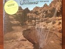 DAVID CHALMERS: looking for water LP Private Psych Rock Acid Archives