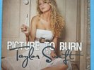 Taylor Swift Picture To Burn 7” Gray Vinyl