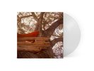 The Backseat Lovers - Waiting To Spill (Indie Exclusive, Clear Vinyl) - ALT/INDI