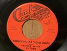 ELMORE JAMES   Knocking At Your Door   Chief Records chicago blues 45