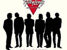 Huey Lewis and the News - Collected - Music On Vinyl LP