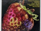 STRAWBERRY ALARM CLOCK BEST OF THE ... MCA MCA5007 JAPAN PROMO LP
