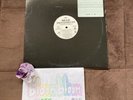 Dead Presidents  1995 Funk Soul Soundtrack Sampler Promo Vinyl Capitol Records