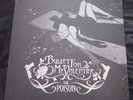 Bullet For My Valentine - The Poison - RARE 2005 Original Vinyl LP