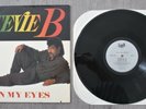 Stevie B In My Eyes (1988) LP Vinyl Record LMR LMRLP 5531 Stereo