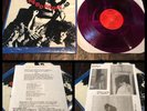 REDD KROSS Born Innocent LP Purple Vinyl RED CROSS-Circle Jerks Melvins OFF
