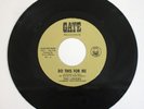 THE LOVERS DO THIS FOR ME/ SOMEONE 45 GATE 501 Rare 60s Northern Soul