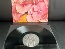 STILL LIFE / Same-LP-Vinyl:NM/Cover:EX - 1st.D. VERTIGO SWIRL 1971