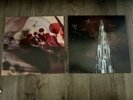 Silversun Pickups - Carnavas & Swoon SIGNED Vinyl LP LOT