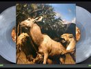 INTERPOL Our Love To Admire 2LP on CLEAR/SMOKEY WHITE VINYL New SEALED Gatefold