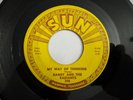 Garage Psych 45 / Randy and the Radiants 