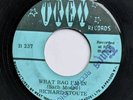 RARE MOTOWN NORTHERN SOUL Richard Stoute  What Bag I’m In TREX listen + Video
