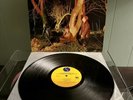 ECHO AND THE BUNNYMEN CROCODILES VINYL LP 1980 SIRE THE SMITHS PSYCHEDELIC FURS