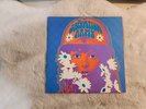 The Salvation Army Self-titled Vinyl 1ST 1982 FLP 1008 OG LP EX Garage Rock