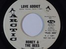 Northern Soul/Funk 45 HONEY & THE BEES Love Addict/I'll Be There on Arctic promo