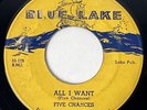 FIVE CHANCES All I Want / Shake A Link Blue Lake Doo Wop Original RARE 45 HEAR