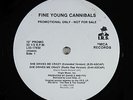 Fine Young Cannibals - She Drives Me Crazy 12