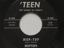 Surf Garage MOPTOPS Mop Top / Flipper TEEN 45 HEAR