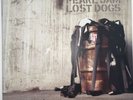 Pearl Jam Lost Dogs LP Vinyl ES 85738 2003 Vedder Grunge Rare 3 LP Original