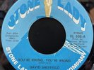 David Sheffield / You're Wrong, You're Wrong / What's Done In The Dark 1971 US