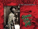Hound Dog Taylor And The HouseRockers - Beware Of The Dog (LP) - Vinyl Blues