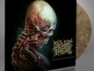 SEVERE TORTURE TORN FROM THE JAWS OF DEATH (GOLD/BLACK MARBLED VINYL) LP New 082