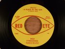 Wild Vybrashons (There's) A Place In The Sun/One Track Mind  Fuzz Garage