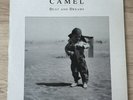 Camel - Dust And Dreams 1992 Korea Orig LP Vinyl w/ Insert