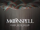 From Down Below-Live 80 Meters Deep (2LP Gatefold) [Vinyl LP]