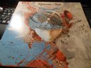 Anderson / Stolt - 