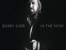In the Now [LP] by Barry Gibb (180g Vinyl 2016, 2 Discs, Columbia (USA))