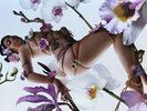 *Brand New* Kali Uchis - Orquídeas (Clear Vinyl LP + Poster) Limited Edition