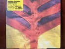 Yeah Yeah Yeahs - Show Your Bones - Vinyl Record LP Album - 985 295-6 - EX/VG+