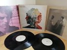 Richard Ashcroft – Human Conditions - 2002 Original Double Vinyl LP - The Verve